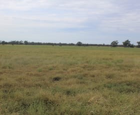 Rural / Farming commercial property for sale at " Amaroo Drive Blocks" Moree NSW 2400
