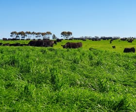 Rural / Farming commercial property sold at 460 Ramsay Road Irrewarra VIC 3249