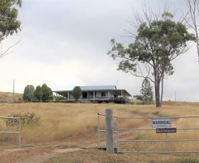 Rural / Farming commercial property sold at 387 Ambrose Bracewell Road Ambrose QLD 4695