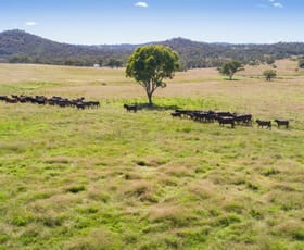 Rural / Farming commercial property sold at 262 Gunnalong Rd Bendemeer NSW 2355
