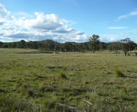 Rural / Farming commercial property sold at Lot 11 Saxby Road Ballandean QLD 4382