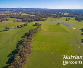 Rural / Farming commercial property sold at 137 Taylors Lane Wangaratta VIC 3677