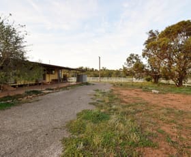 Rural / Farming commercial property sold at 3115 Flinders Ranges Way Quorn SA 5433