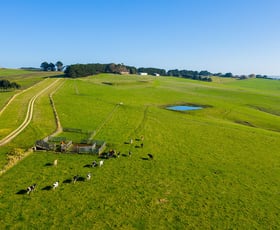 Rural / Farming commercial property sold at 201 Melrose Road Cooriemungle VIC 3268