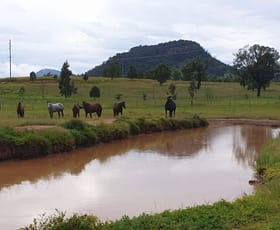 Rural / Farming commercial property sold at Gungal NSW 2333 Rural / Farming commercial property sold at Gungal NSW 2333