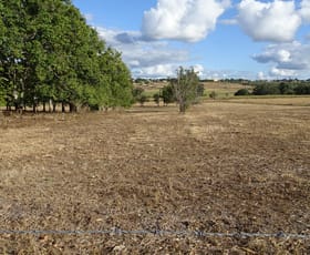 Rural / Farming commercial property sold at Lot 10/ Green Valley Court North Isis QLD 4660