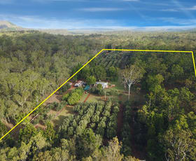 Rural / Farming commercial property sold at 3046 Mount Fox Road Mount Fox QLD 4850