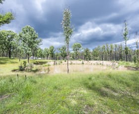Rural / Farming commercial property sold at 140 Martin Road Nymboida NSW 2460