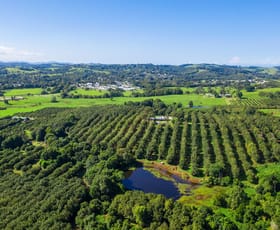 Rural / Farming commercial property sold at 1035C Hinterland Way Bangalow NSW 2479