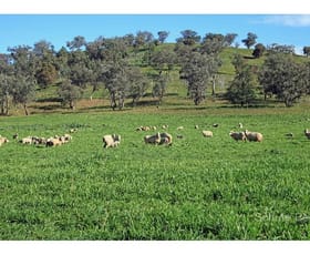Rural / Farming commercial property sold at Wellington NSW 2820