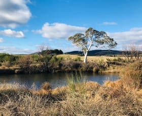 Rural / Farming commercial property sold at 4687 Cooma Rd Braidwood NSW 2622