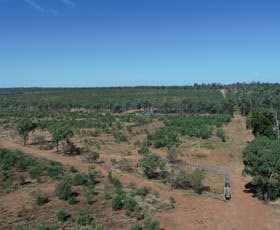 Rural / Farming commercial property sold at Lot 2 CAPRICORN HIGHWAY Duaringa QLD 4712