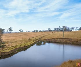 Rural / Farming commercial property sold at 124A Mogilla Road Candelo NSW 2550