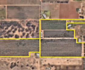 Rural / Farming commercial property for sale at Lot 2, 230 White Cliff Avenue and Lot 2, 255 Sheoak Avenue) Mildura VIC 3500