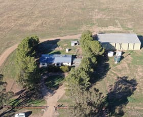 Rural / Farming commercial property sold at 'Bonnie Doo' 2686 Mary Gilmore Way Temora NSW 2666
