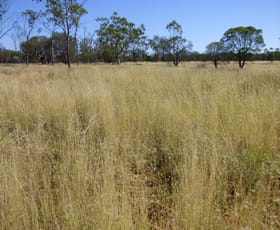 Rural / Farming commercial property sold at 'OUIDA' 9142 Adavale Road Langlo QLD 4470