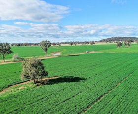 Rural / Farming commercial property sold at 44 Tillings Lane Wellington NSW 2820