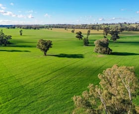 Rural / Farming commercial property sold at 'Truro'/780 Spurrells Rd Pleasant Hills NSW 2658