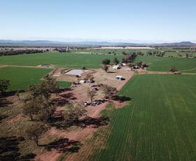 Rural / Farming commercial property sold at 70 Nea Siding Road Curlewis NSW 2381