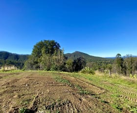 Rural / Farming commercial property sold at 2148 Comboyne Road Killabakh NSW 2429