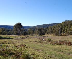 Rural / Farming commercial property sold at 2704 Upper Mongogarie Road Mongogarie NSW 2470