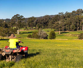Rural / Farming commercial property sold at 495 Comboyne Road Wingham NSW 2429