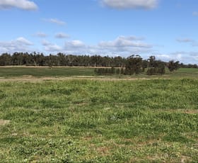 Rural / Farming commercial property sold at "Hillside" Beckom NSW 2665