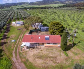 Rural / Farming commercial property sold at 3819 Main South Road Sellicks Hill SA 5174