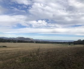 Rural / Farming commercial property sold at 603 Black Springs Road Mudgee NSW 2850