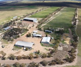 Rural / Farming commercial property sold at 8811 Southern Cross South Road West Holleton WA 6369
