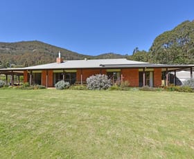 Rural / Farming commercial property sold at 571 Wallaby Gully Road Ellalong NSW 2325