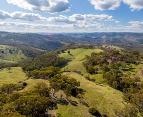 Rural / Farming commercial property sold at 891 Red Hill Road Paling Yards NSW 2795