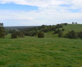 Rural / Farming commercial property sold at 301 Ryall Road Upper Capel WA 6239