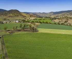 Rural / Farming commercial property sold at 1179 Running Creek Road Running Creek QLD 4287