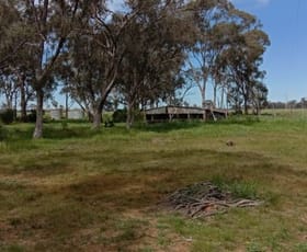 Rural / Farming commercial property sold at 2385 Katamatite-Shepparton Main Road Marungi VIC 3634
