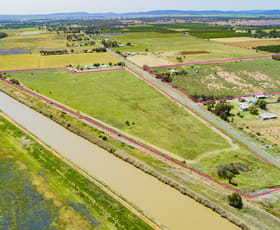 Rural / Farming commercial property sold at 221 Canal Road Leeton NSW 2705