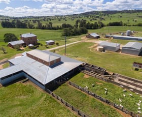 Rural / Farming commercial property sold at 97 Yarras Lane Yarras NSW 2795