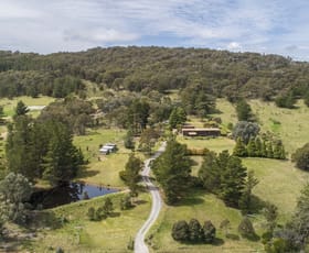 Rural / Farming commercial property sold at 1344 Middle Arm Road Middle Arm NSW 2580