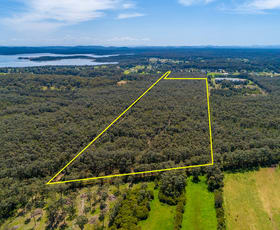 Rural / Farming commercial property sold at 56a Lisadell Road Medowie NSW 2318