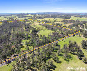 Rural / Farming commercial property sold at 188 Pointer Road (via Milton) Yatte Yattah NSW 2539
