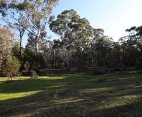 Rural / Farming commercial property sold at 262, 2401 Lumley Rd Lake Bathurst NSW 2580