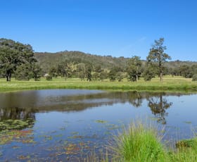 Rural / Farming commercial property sold at 204 Torryburn Road via Paterson NSW 2421