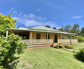 Rural / Farming commercial property sold at 179 Mittons Lane 'Lorna Doone' Pinnacle NSW 2810