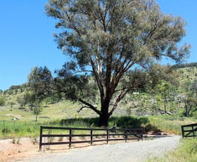 Rural / Farming commercial property sold at 595 Harrys Creek Rd Violet Town VIC 3669