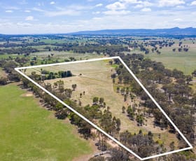 Rural / Farming commercial property sold at 204 Ortlipp Road Glenellen NSW 2642