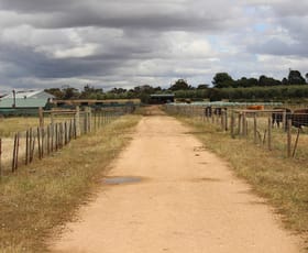 Rural / Farming commercial property sold at Allotment 31 Mallee Highway Pinnaroo SA 5304