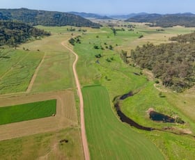 Rural / Farming commercial property for sale at Yarrawa NSW 2328