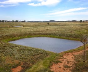 Rural / Farming commercial property for sale at Fermoy 9286 The Bogan Way Tullamore NSW 2874