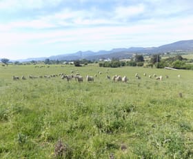 Rural / Farming commercial property sold at 2074 Lyell Highway Hayes TAS 7140