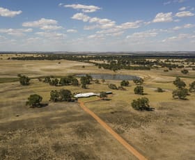 Rural / Farming commercial property sold at 372 Fynes Road Red Gully WA 6503